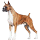 demeter